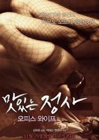 韩剧《办公室秘密》电视剧在线观看
