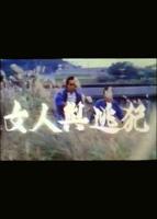 人与动物